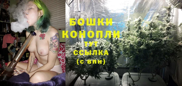 гашик Горняк
