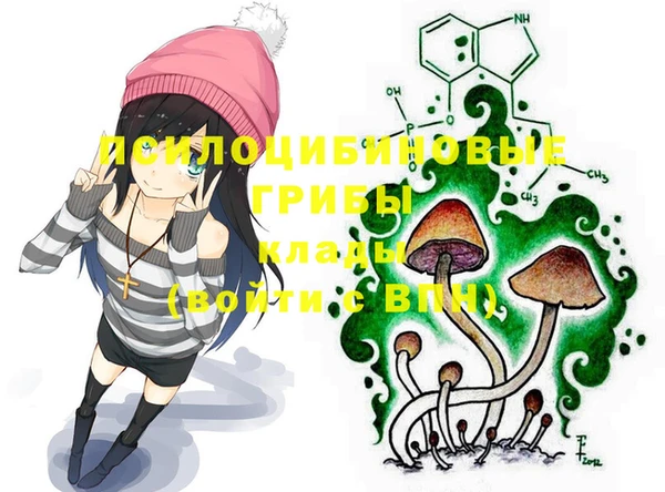 синтетический гашиш Гусиноозёрск