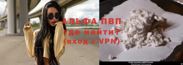 гашик Горняк