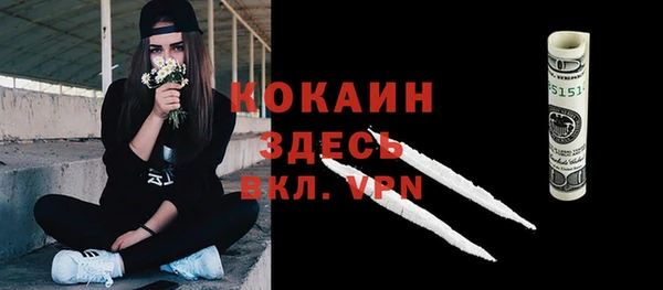 круглые Гусев