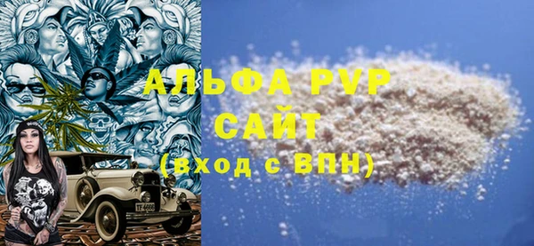 гашик Горняк
