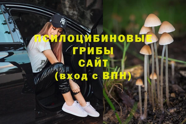 гашик Горняк