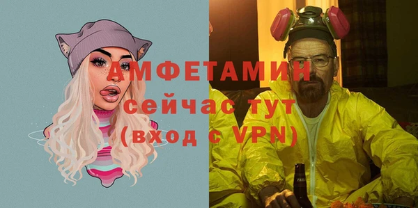 гашик Горняк
