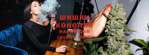 гашик Горняк